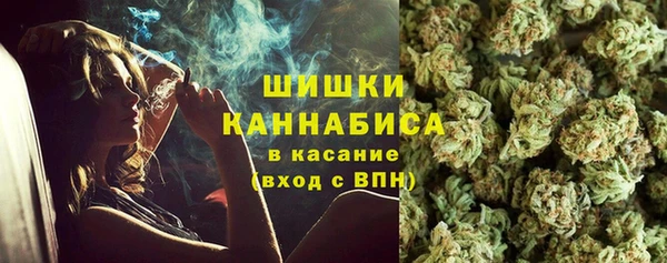 spice Рославль