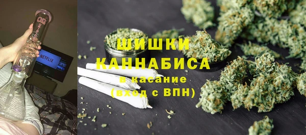 твердый Алзамай